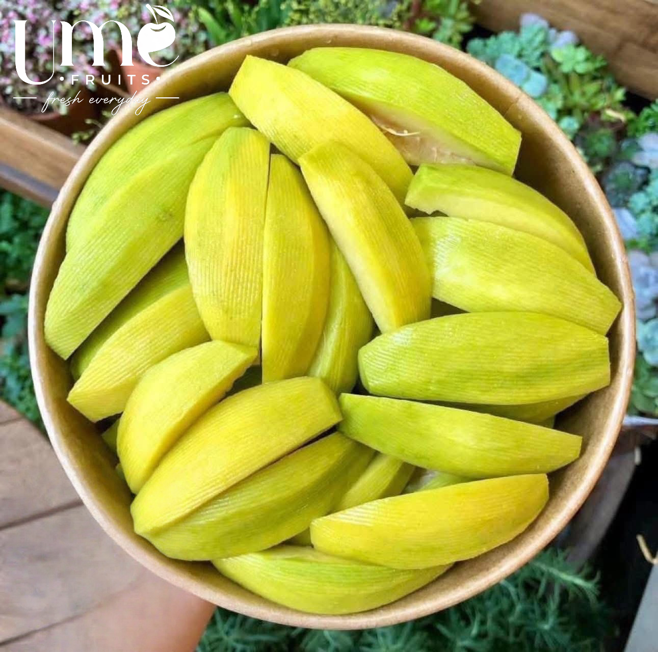 Api Ume Ume Fruits - Trái Cây Tươi Ngon Mỗi Ngày