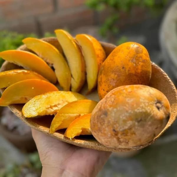 Ume Fruits - Trái Cây Tươi Ngon Mỗi Ngày